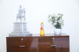 Divine India Service Apartment 3Bhk,B57 Sarita Vihar,Apollo - Neu-Delhi - 8