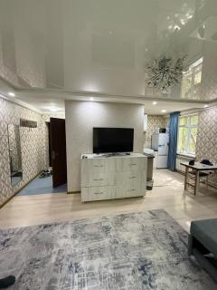 Green one room apartment in the center - Tashkent - 5