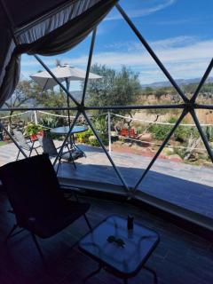 El Gato Glamping con vista a prismas basálticos - Huasca de Ocampo - 6