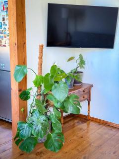 Green Lake Apartment - Liepāja - 4