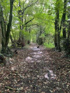 Parkway Retreat - Swynnerton - 3