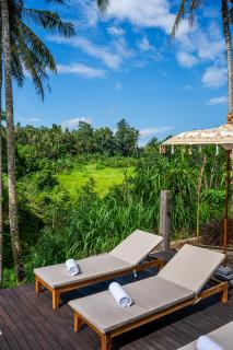 Eveuss Villa - Ubud - 9