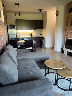 Forest View Apartment C34 Bansko - Bansko - 7