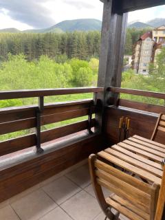 Forest View Apartment C34 Bansko - Bansko - 9