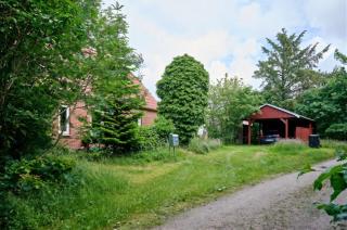 A hidden gem in the woods - 6