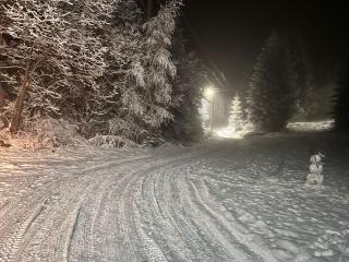 Green Cabin - Muntele Cacovei - 9