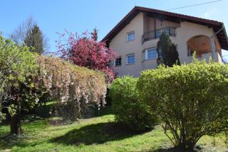 Green Home - Krapinske Toplice - 9