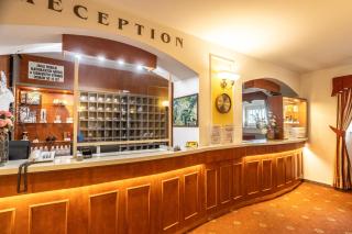 Hotel Flora - Marienbad - 5