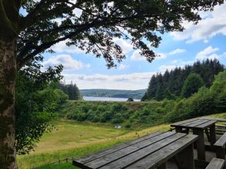 Dolygaer Apartment Reservoir Views, Brecon Beacons - - 9