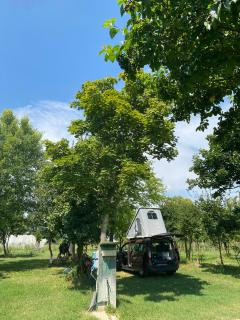 Camping Biologico La Buona Terra - Saccolongo - 9