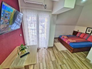 Vila Aleksandra 2 Studio 16 - Soko Banja - 9