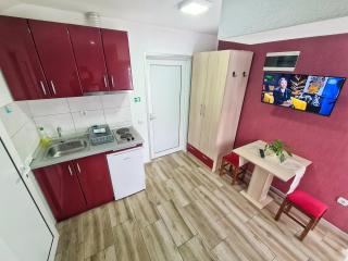 Vila Aleksandra 2 Studio 16 - Soko Banja - 5