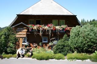 Gasthaus Heiligenbrunnen - Titisee-Neustadt - 7