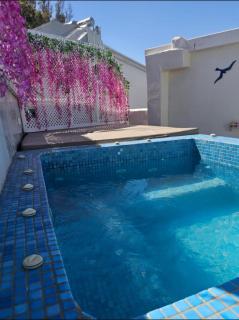 The Muses of Santorini Private Jacuzzi Suites - Vóthon - 6