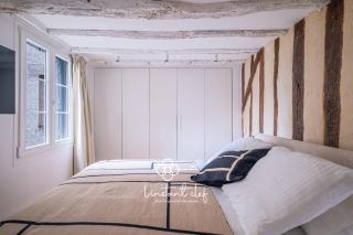 T2 élégant proche Théâtre et le musée des Beaux-Arts - 3