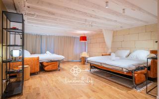 T2 élégant proche Théâtre et le musée des Beaux-Arts - 1