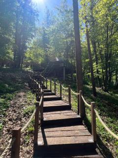 Na Skraju Lasu Domek na Drzewie & Glamping - Kazimierz Dolny - 1