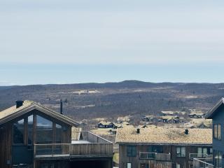 Fully equipped ski-in ski-out apartment at Kikut, Geilo - 6