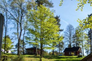 Skyttehusets Camping - Silkeborg - 6