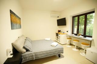 The One Malpensa Rooms - Vizzola Ticino - 9
