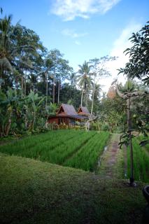 Uma Cabins - Ubud - 3