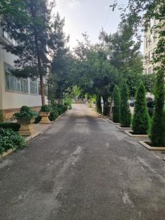 Samarkand city Boulevard 3 - Samarcanda - 8