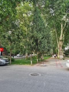 Samarkand city Boulevard 3 - Samarcanda - 7