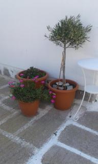 Angela's Rooms - Mikonos - 8