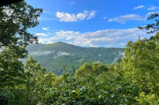 Candyland Cabin by Carolina Mornings - Candler - 9