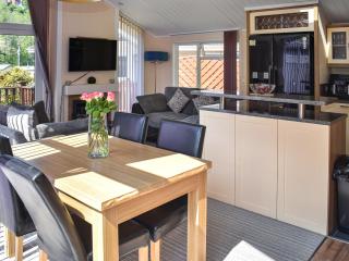 Holly Lodge - Ilfracombe - 8