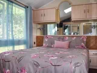 Holly Lodge - Ilfracombe - 4