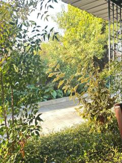 Creekside Guest House Middelburg - Middelburg - 2