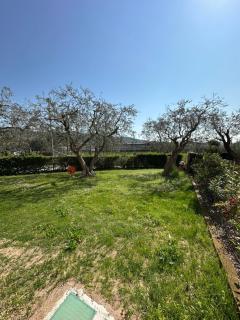 Appartamento con giardino a 10 minuti dal centro - Bardolino - 1