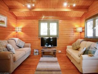 Log Cabin - Guyhirn - 7