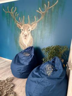 Люкс апартаменти «Д.І.М.» - 9