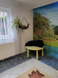 Idyllische Ferienwohnung - Walldürn - 1
