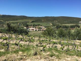 La Ferme des Chèvres - La Cadière-dʼAzur - 0