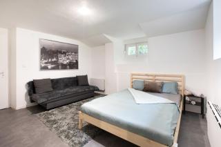 Spacieux Studio, Maison de Maître, Parking Gratuit sur Place, MULHOUSE CENTRE - Mulhouse - 9