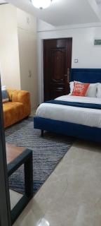 Spacious modern studio in kilimani - 8