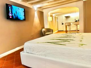 amazing apartment in Piazza Santa Croce Firenze - Florencia - 5