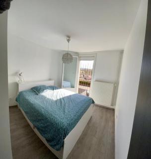 Large single-family home with 4 large bedrooms - Montbéliard - 4
