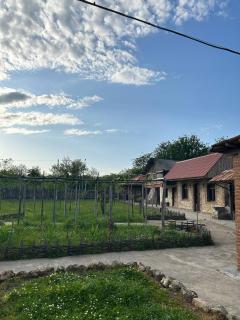 Villa Obcha - Whispering Vines Guesthouse - Bagdatʼi - 2