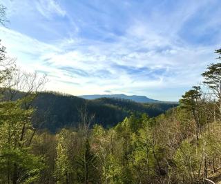 Cascades Escape – Luxury Cabin with Mountain Views, Game Room & Hot Tub - 7