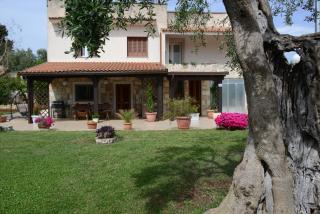 Villa Don Cosimo tra Ulivi Secolari - Monopoli - 9