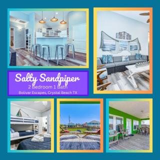 Salty Sandpiper - Crystal Beach - 0