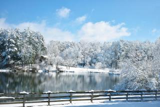 Marietta Hideaway - 9