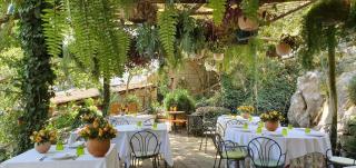 Agriturismo Fattoria Terranova - SantʼAgata sui Due Golfi - 5