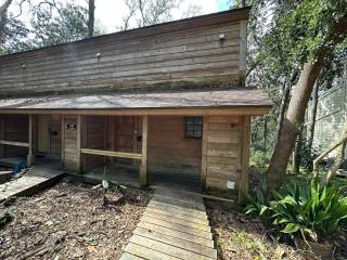 Convenient, Cozy, Cheap 5 - Tallahassee - 5