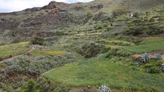 Villa El Guanche - Gáldar - 7