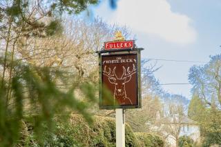The White Buck - 8
